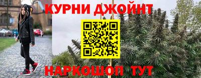 шишки Краснодар