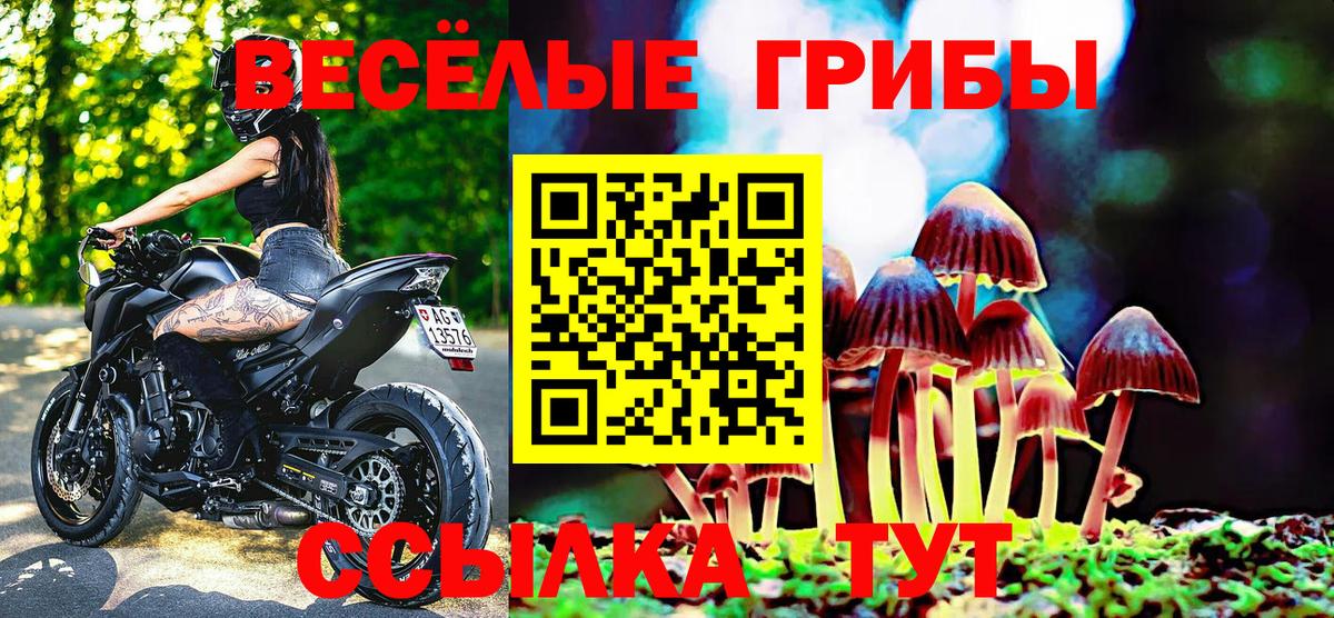 Калининград  Псилоцибиновые грибы GOLDEN TEACHER  Вход с VPN 