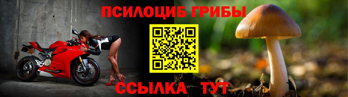 Псилоцибиновые грибы MAGIC MUSHROOMS Калининград